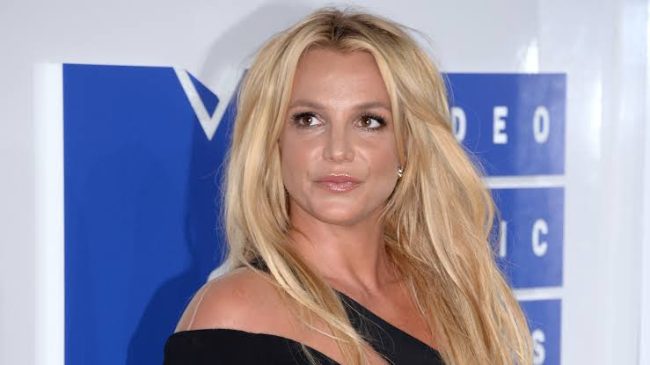 Britney Spears Addresses Police Wellness Check